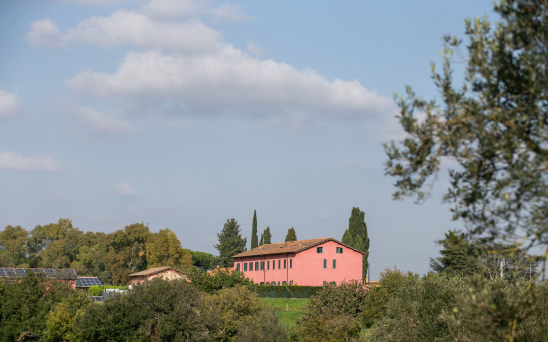 Azienda Agricola Biologica Boccea Solaria